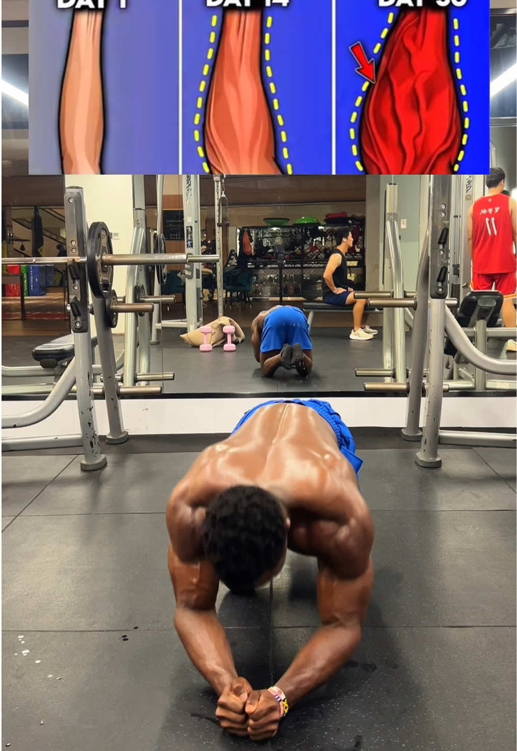 @FITNESS BEASTTRA