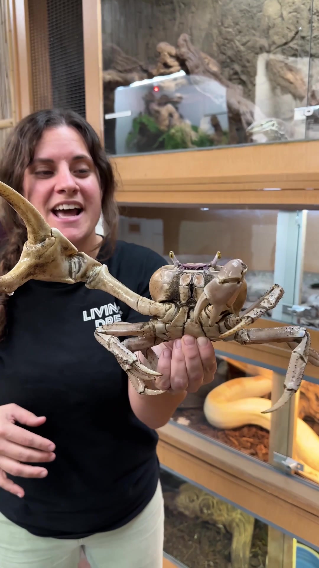 @The Reptile Zoo