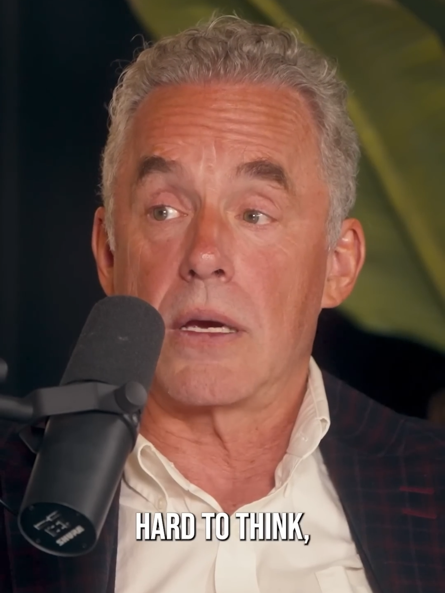 @Dr Jordan B Peterson