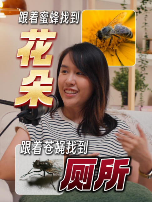 @Axly Tham · 房地产销售导师