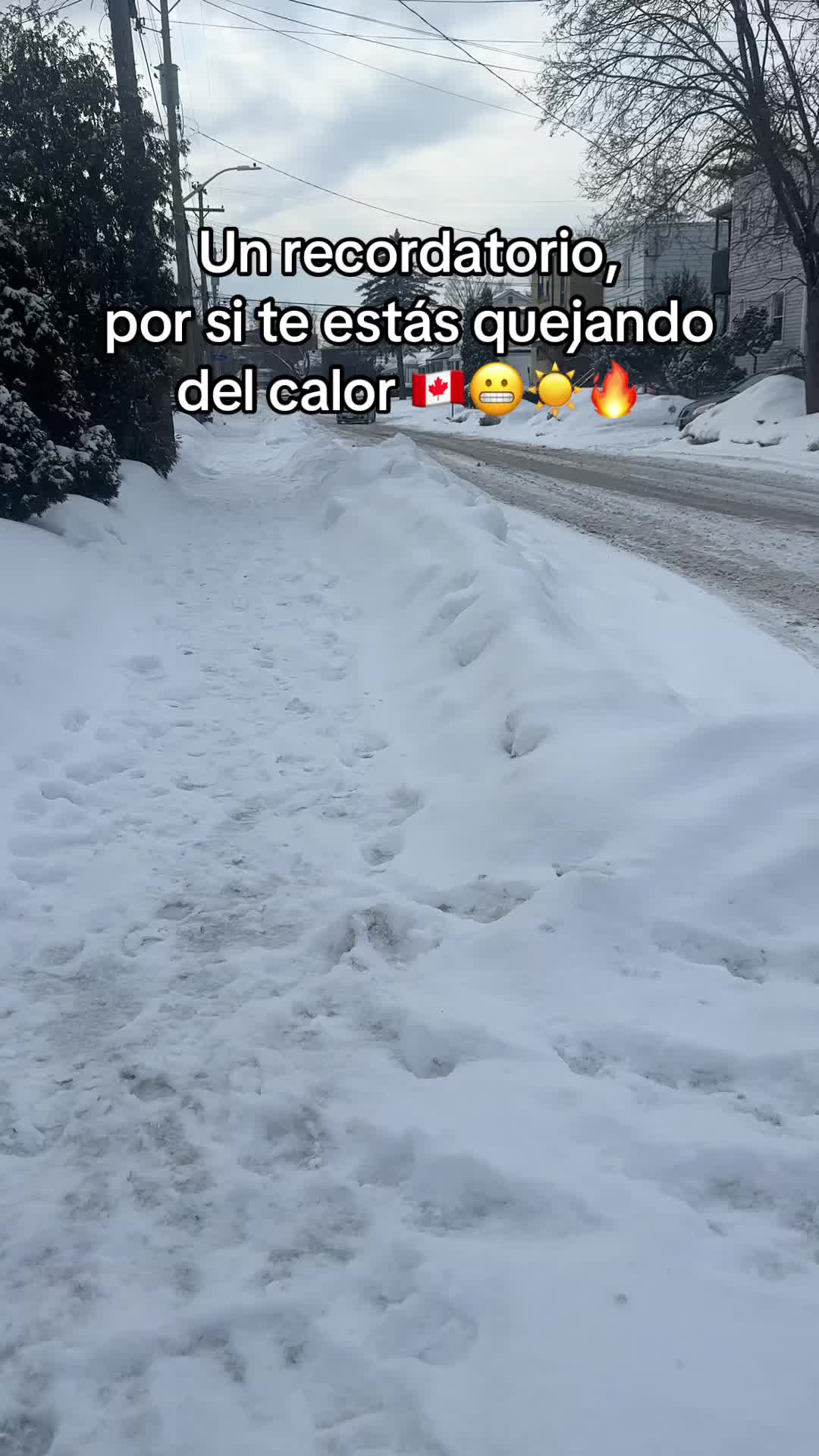 @Bea 💗🇨🇦