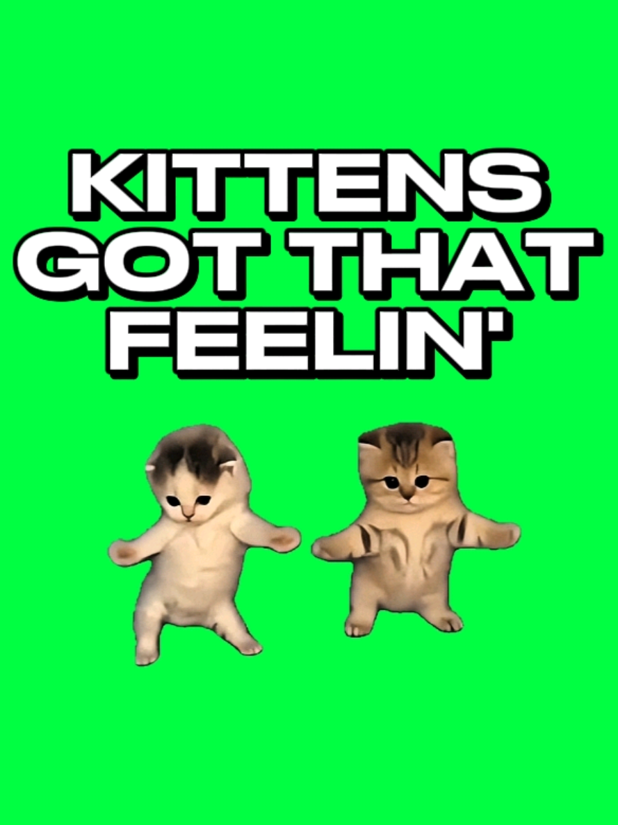 @MemeScreens
