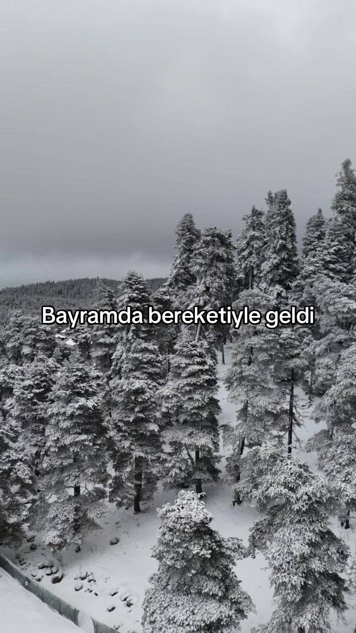 @Sefa yıldız kuaför
