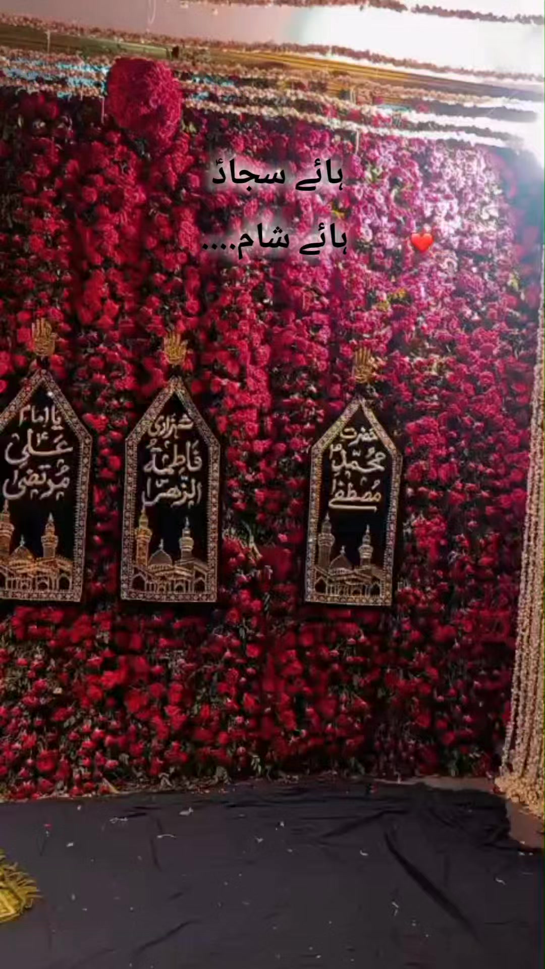 @Tooba_Aly