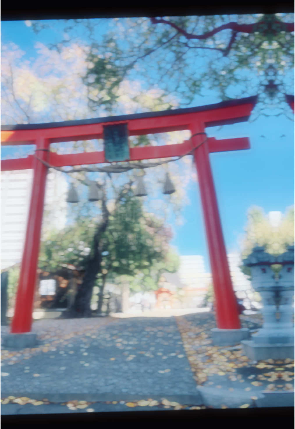 @まもまるも