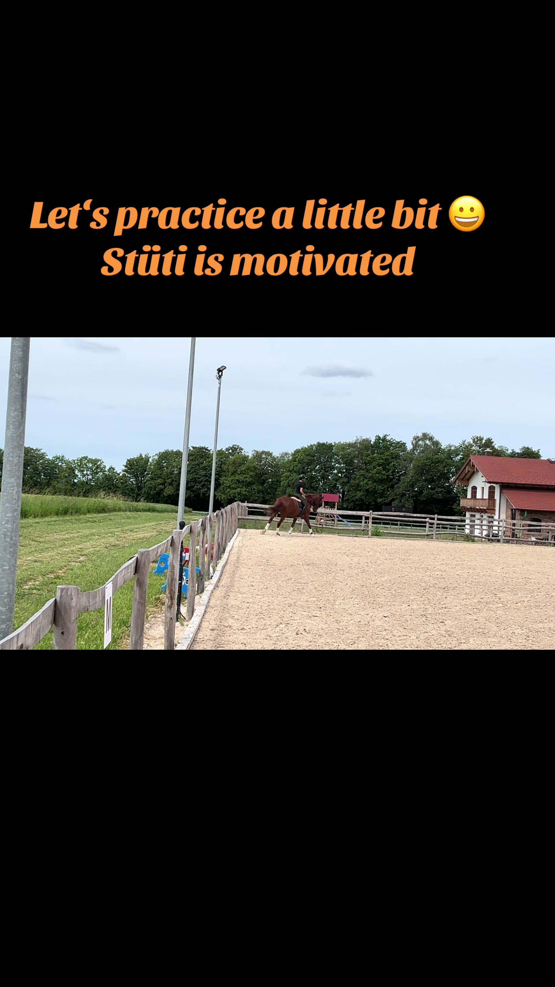 @Simbim & Friends 🐴🐕