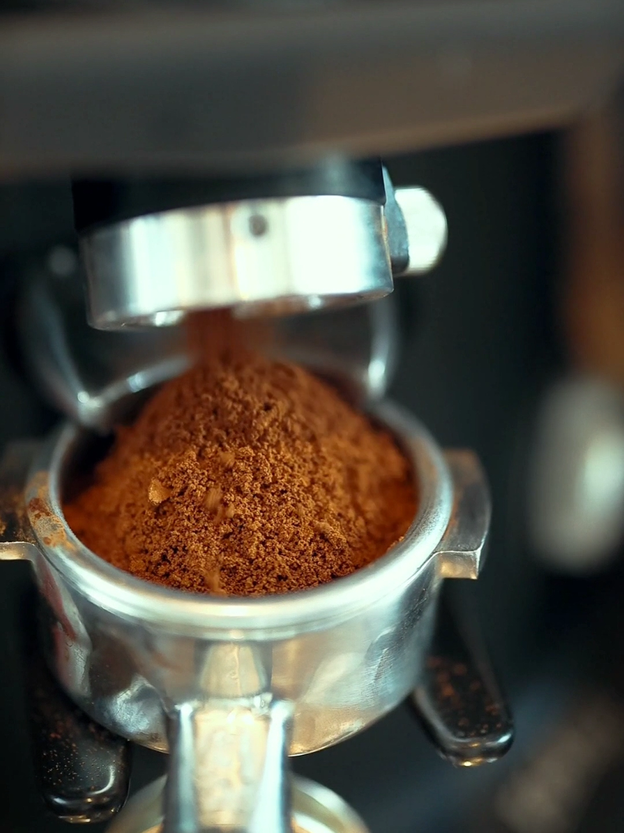 @Gold Coast Roasters Gh