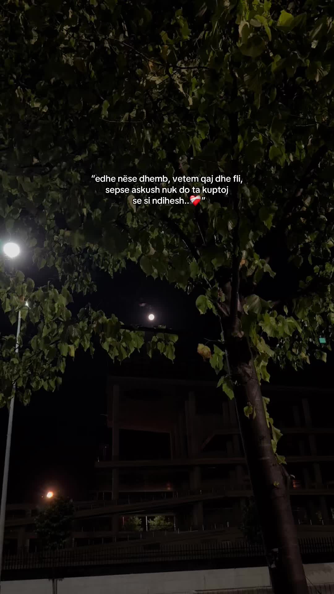 @kelinjoo