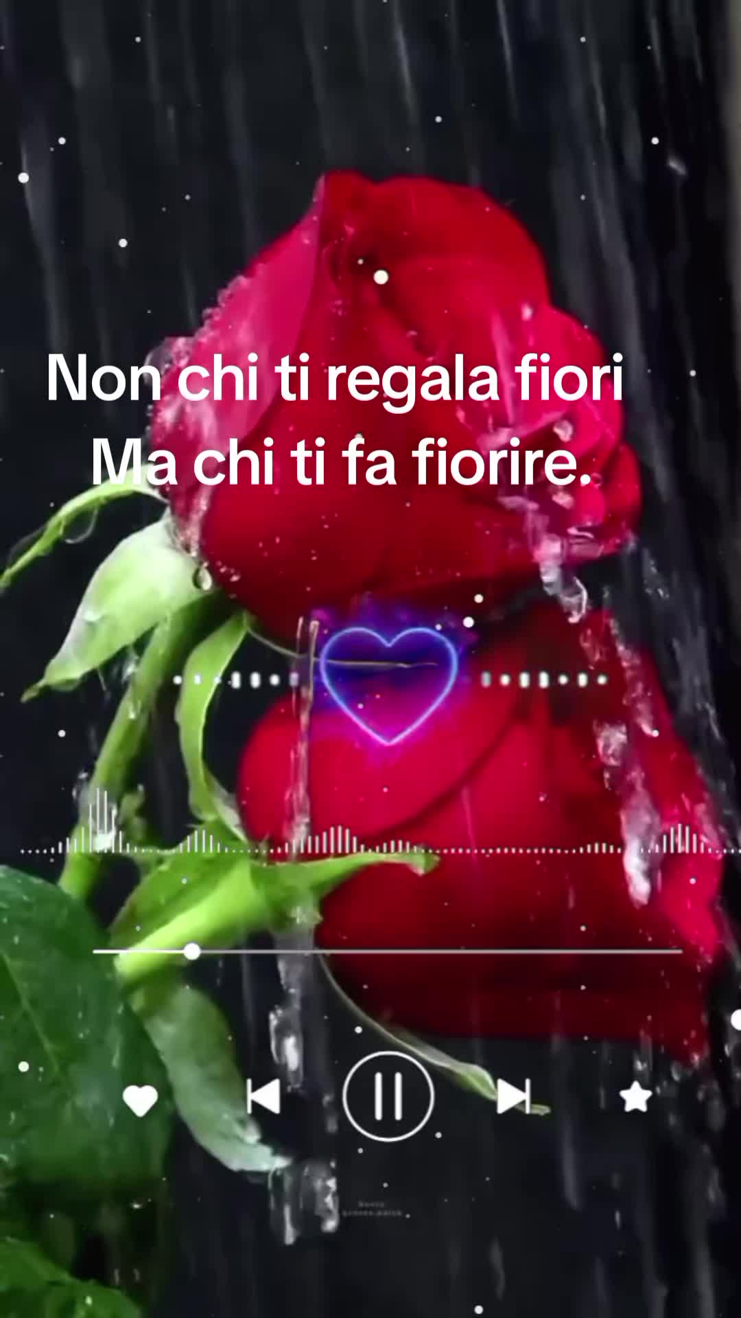 @Lorella.coltro