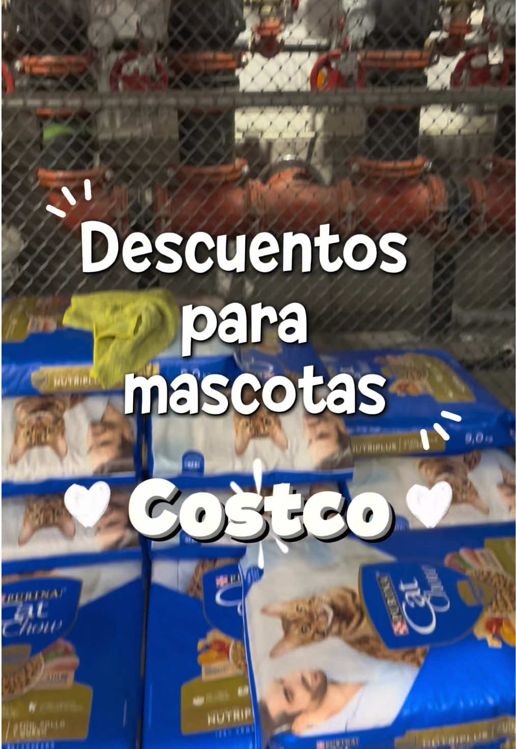 @Cosas de mis gatos 🐱