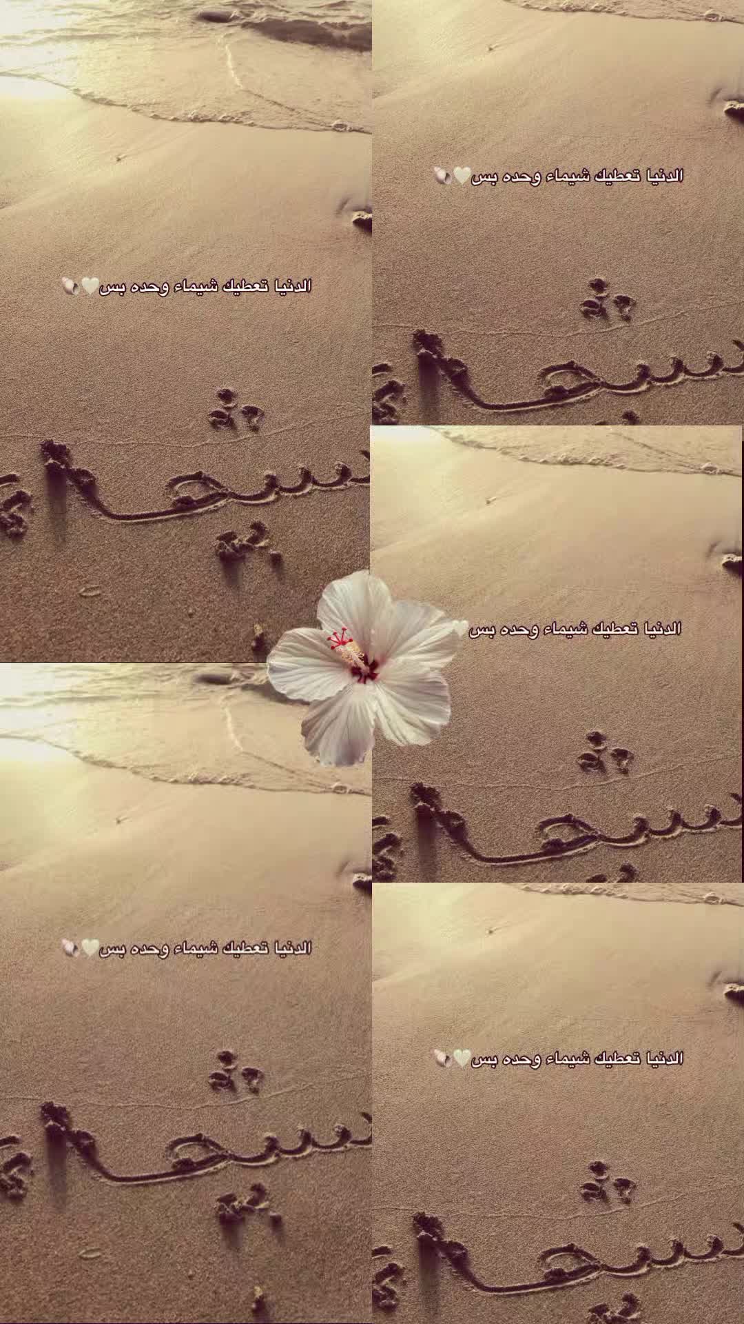 @شيووم👑