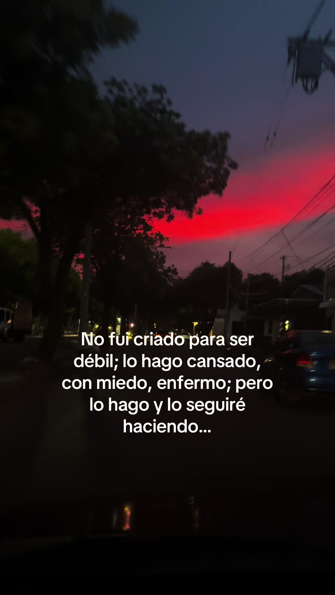 @Cristian Leonardo 🦁