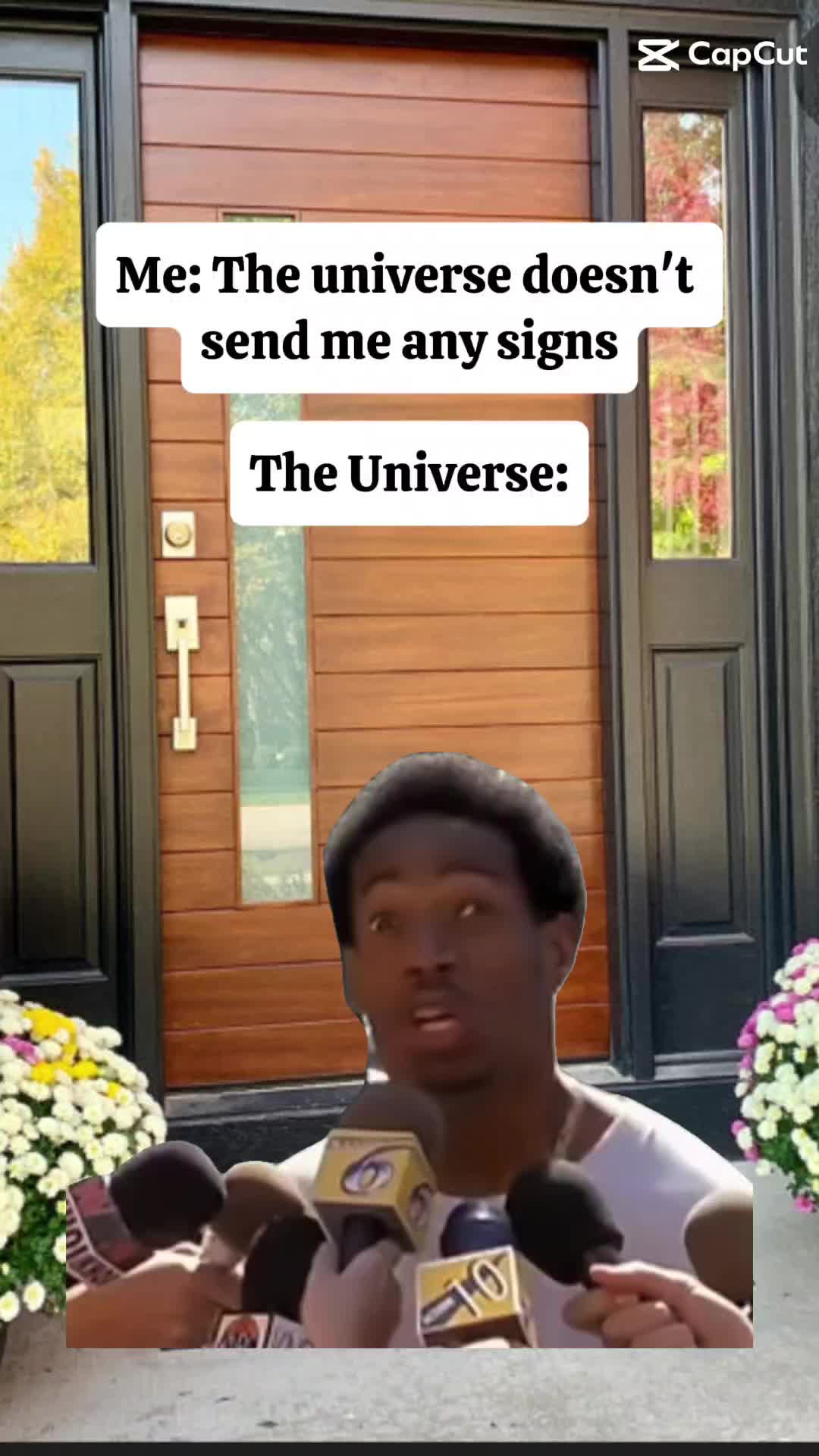 @SZamora