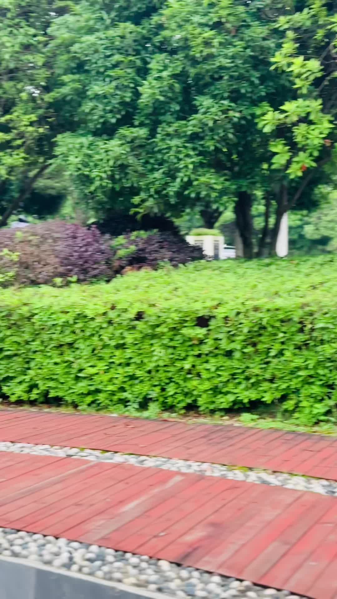 @علی بلوچ🦅