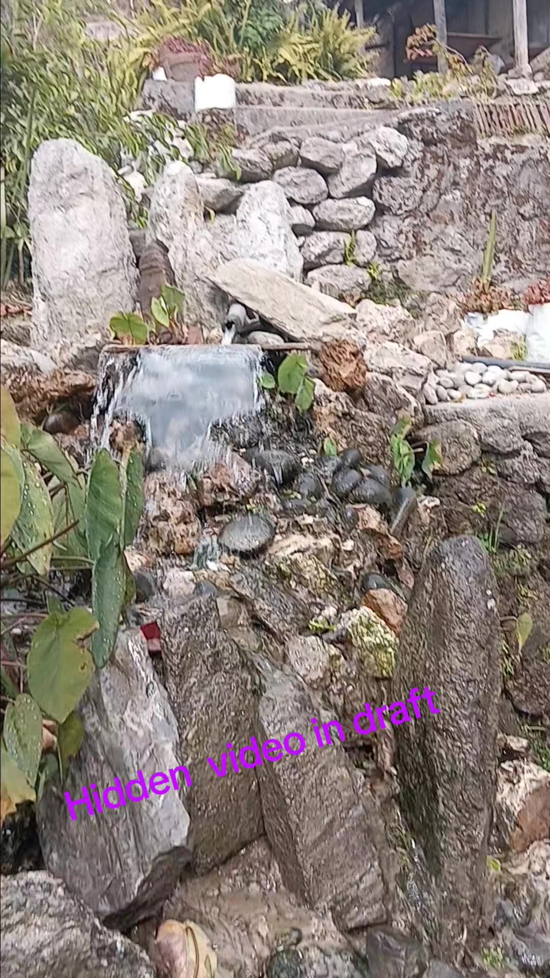 @Anju Sapkota Anu