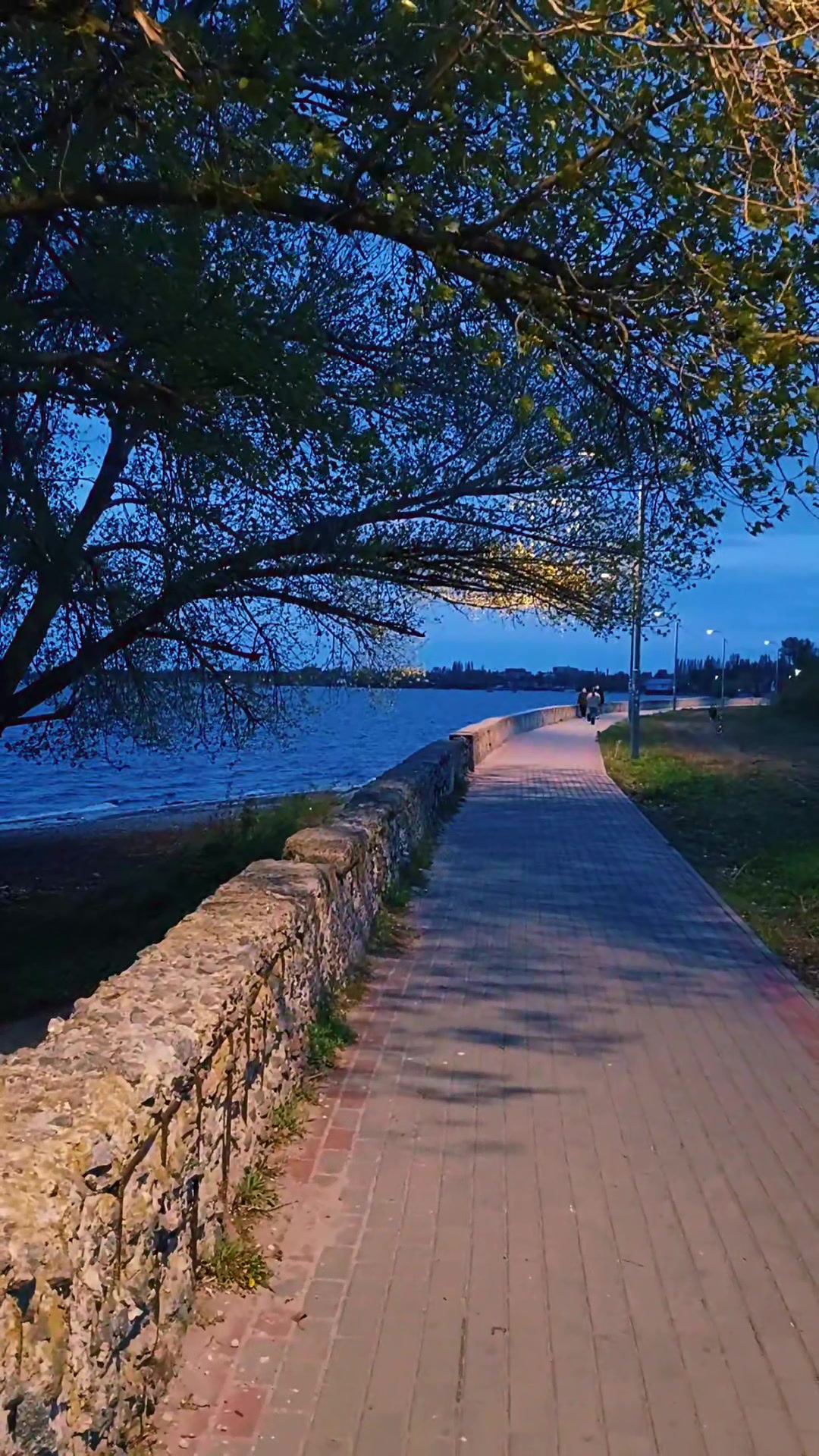 @ксюшик💙💛