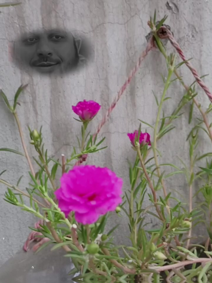 @Hassan Hussain