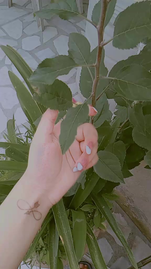 @H E N N A B Y _ A M A R A