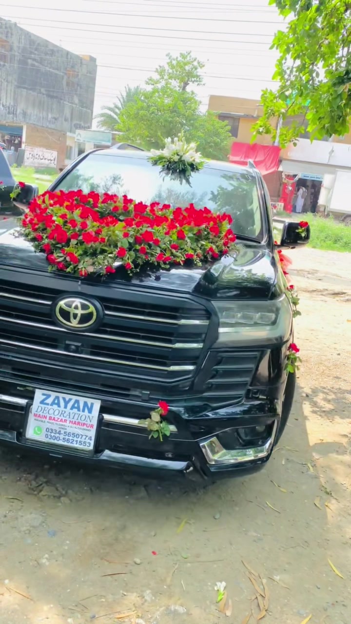 @🦋🦋ZAYAN DECORATION🦋🦋