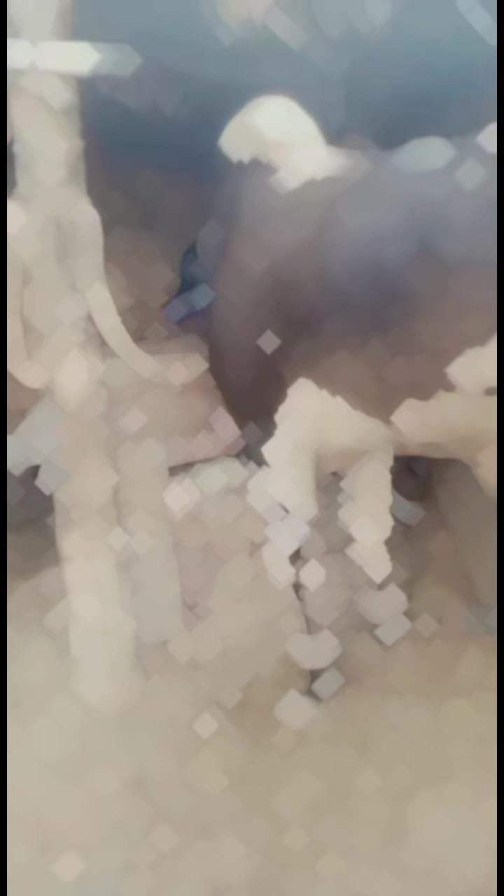 @salmanblouch525