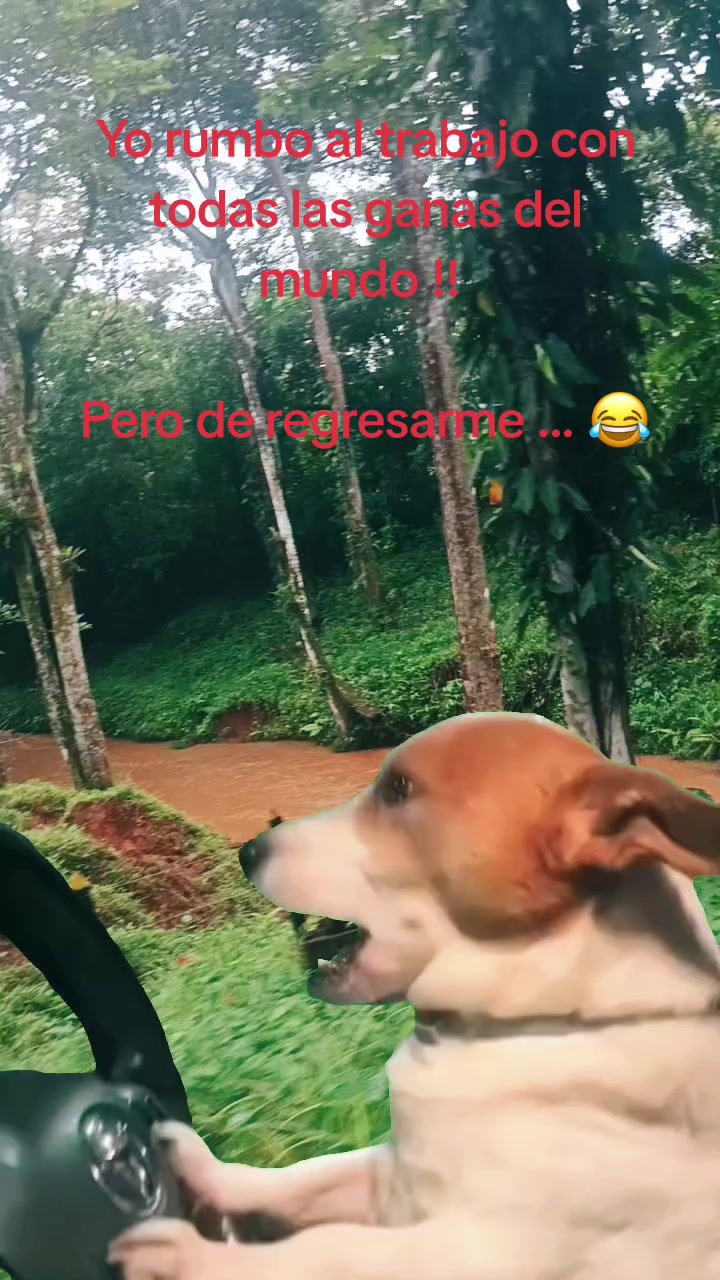 @💖 Linda Miranda 💖