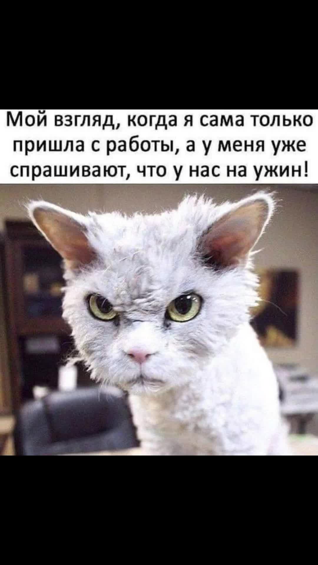 @Юлия🇷🇺🇩🇪🇷🇺