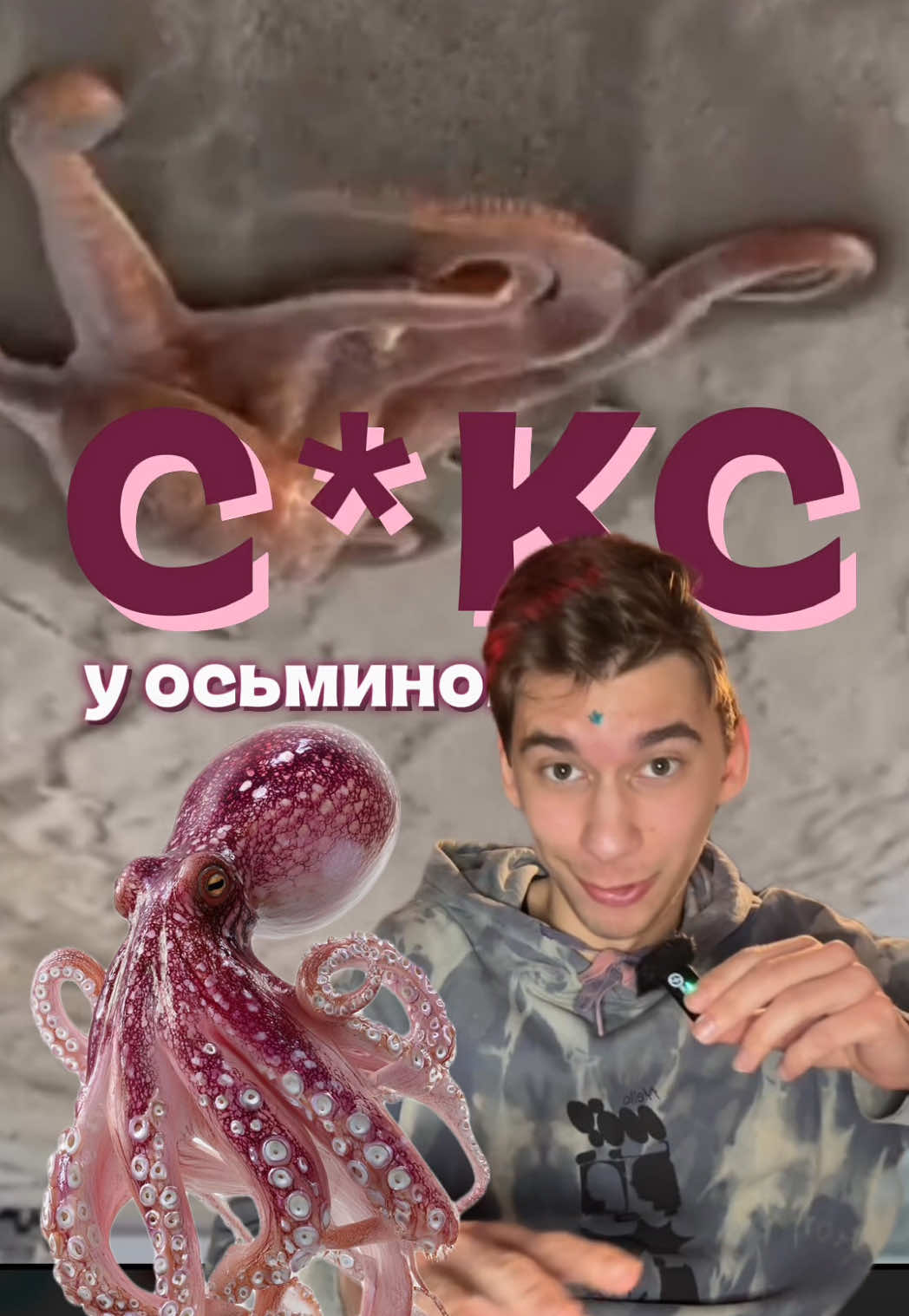 @МОХ