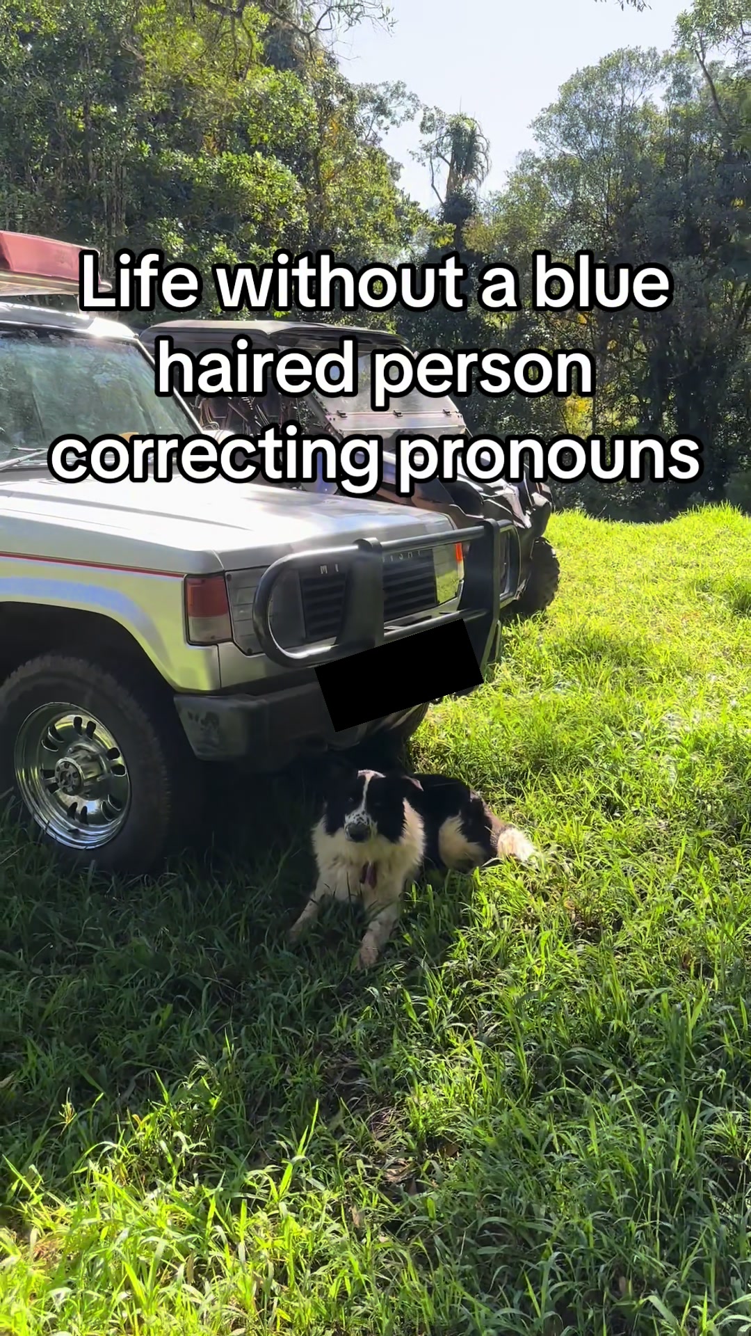 @🇦🇺AngloAussie🇬🇧