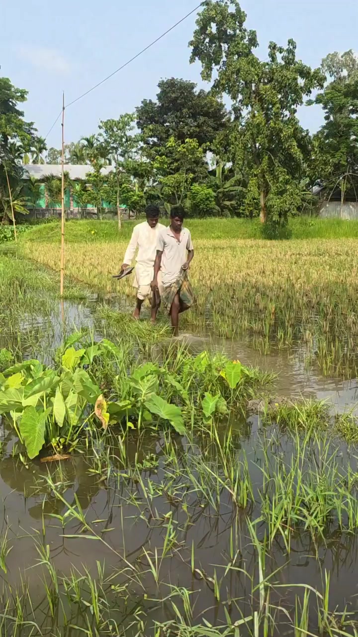@MD Nahid Parvej