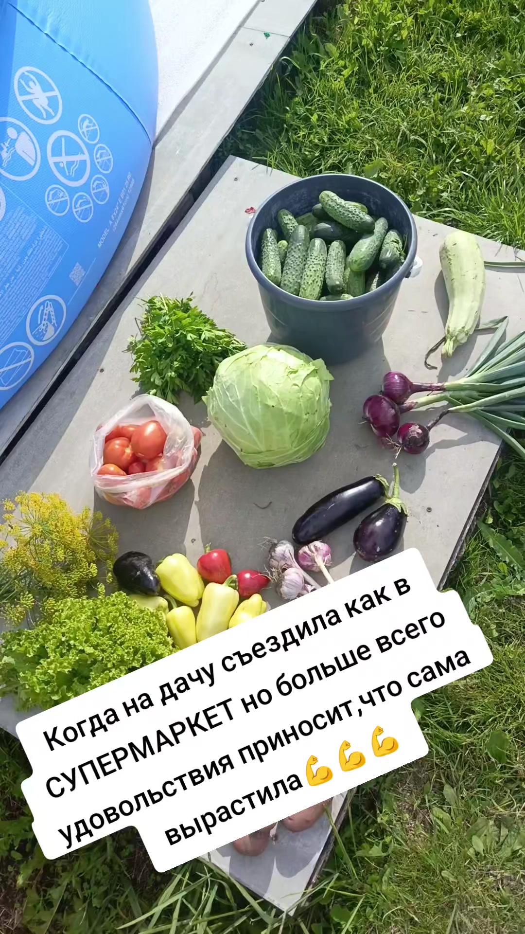 @Оленька