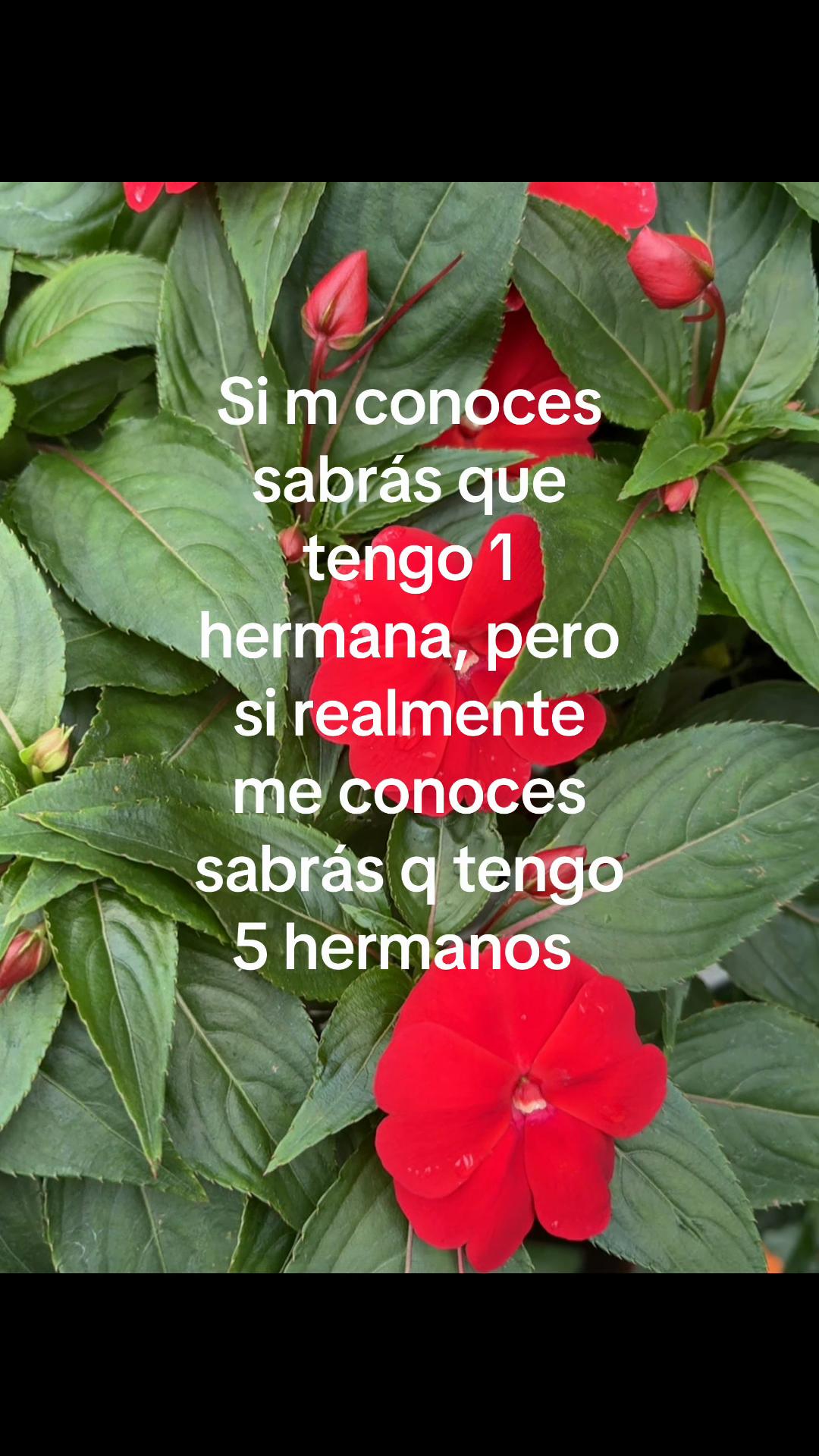 @obsesi&oacute;nporti:3
