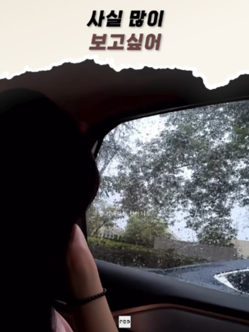 @일담플