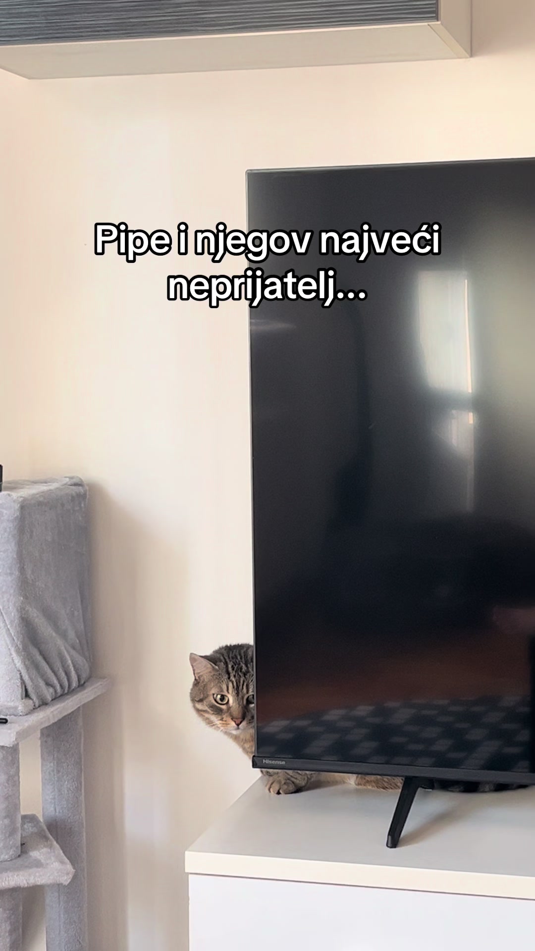 @leyla