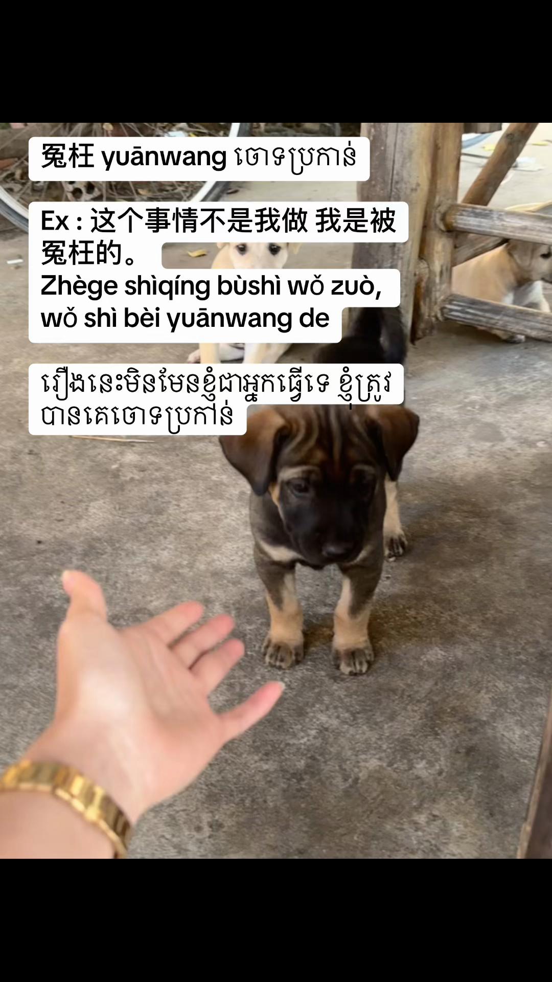 @_Han_๐๐