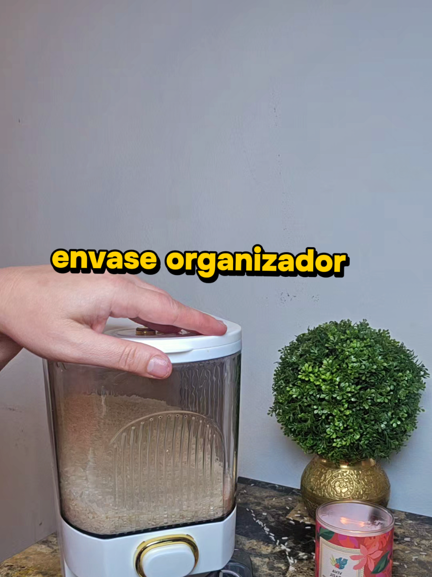 @carolina