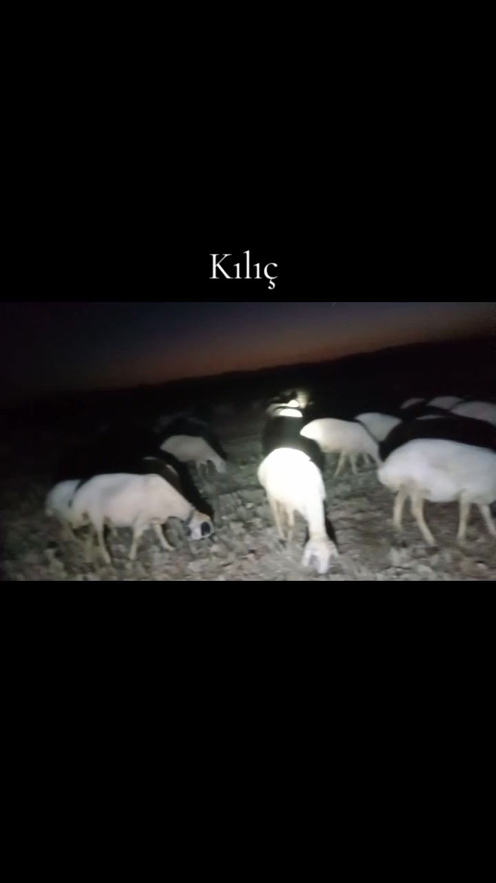 @İbrahim Kılıç