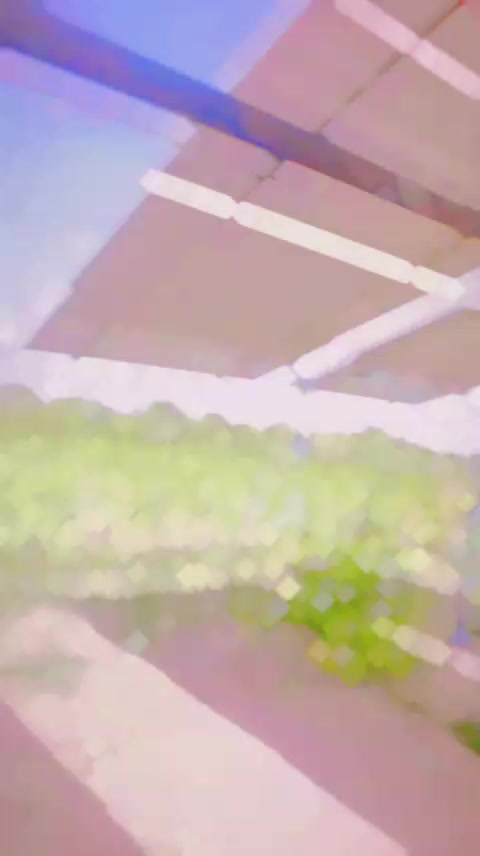 @🔥zidii ghazi🔥