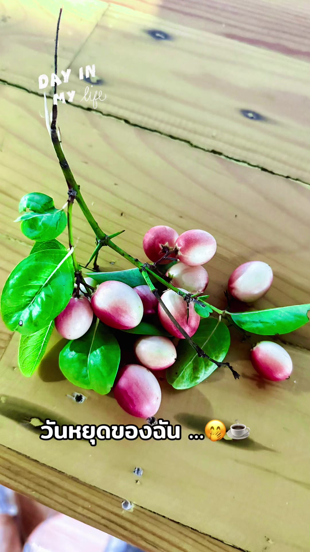 @🎧🍡Naphat🍡🤍🥳🎵🎶🎼