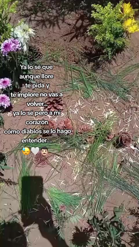 @Darly🌻🍒