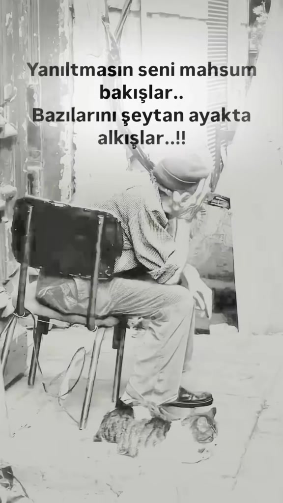 @𝐒𝐞𝐬𝐬𝐢𝐳꯭ ꯭⅟𝐘𝐚𝐳𝐚𝐫