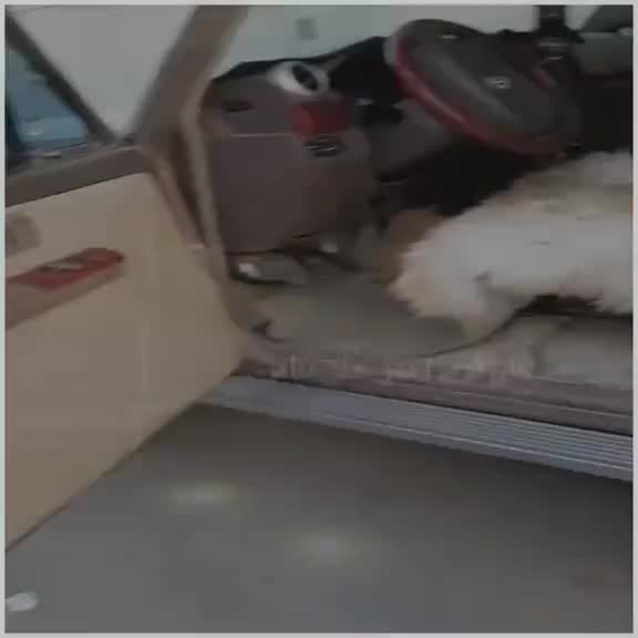 @-˼&crarr;♯̶ سـهاج | 🎖 ⌯