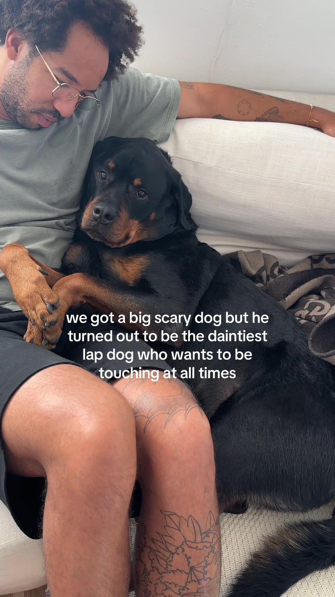 @Moose The Rottie