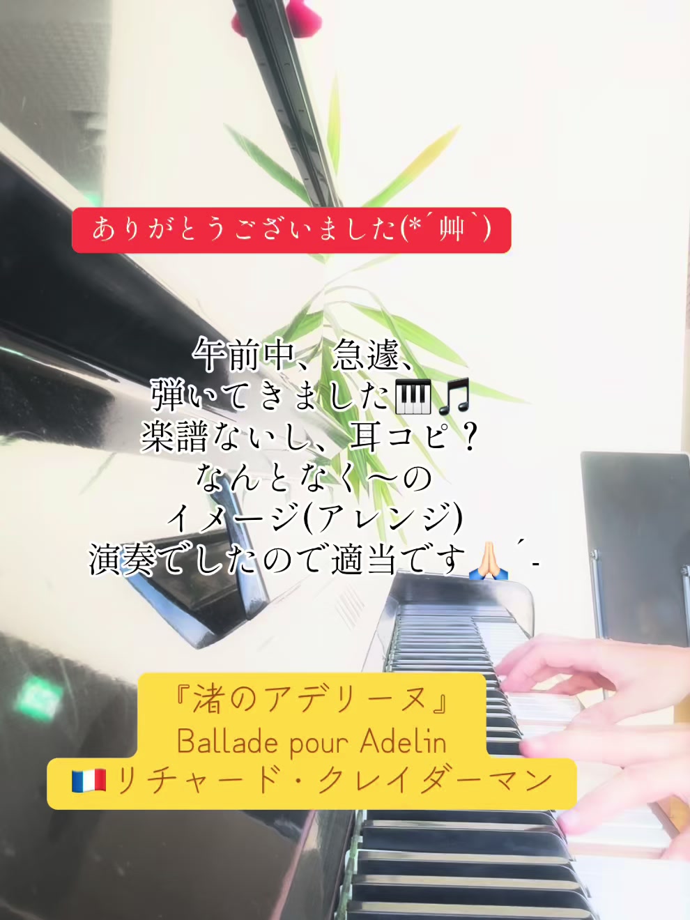 @ニャンちゅ🍒