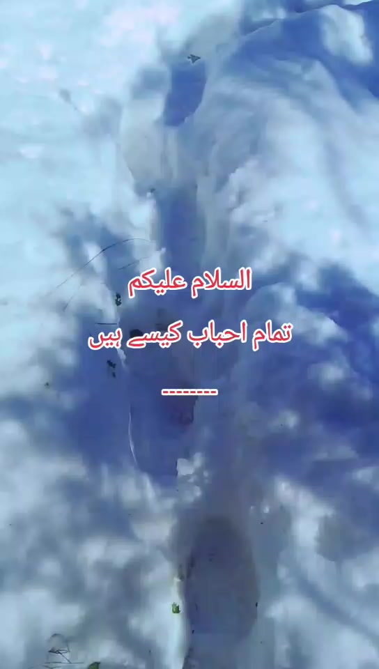@بھای ہم تو صحابہؓ والے ہیں 💯