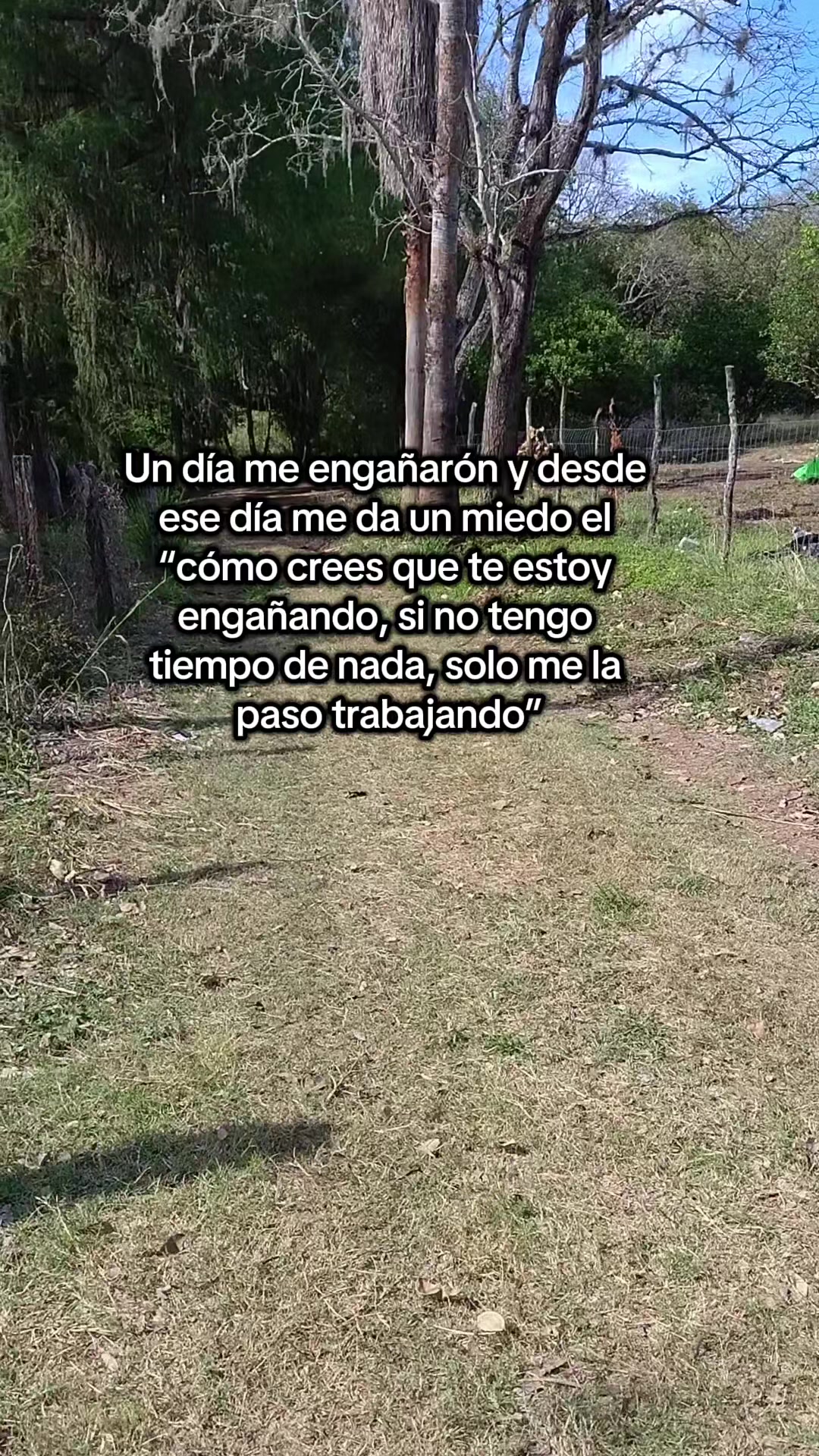 @vecky