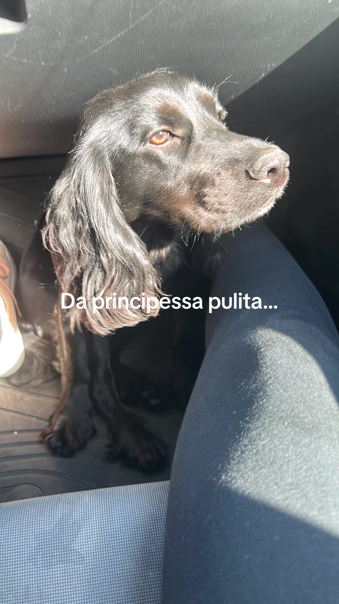 @Natasha Fabiani