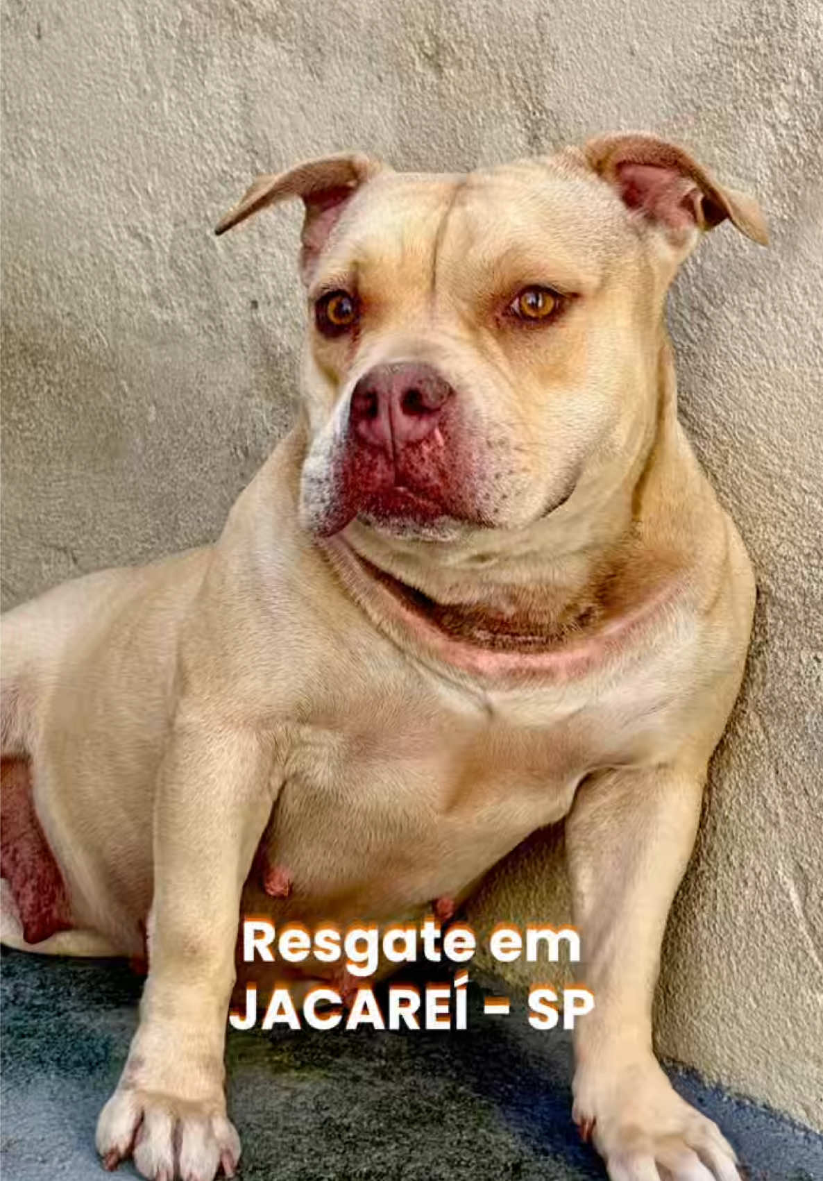 @julinhocasares