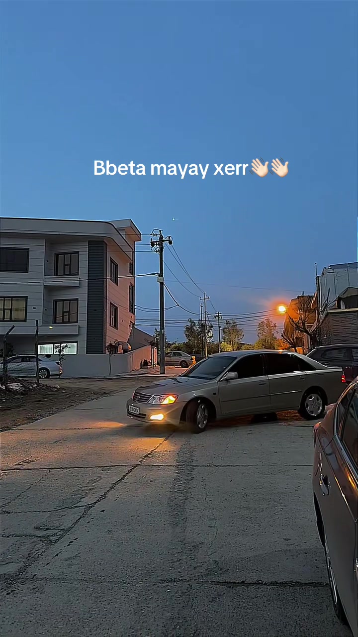 @shayanaras