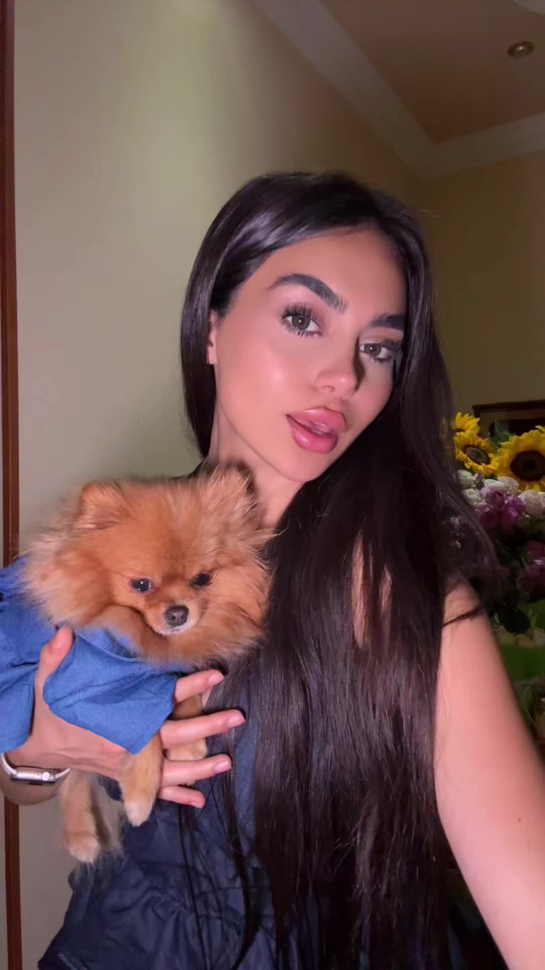 @siroonbysir