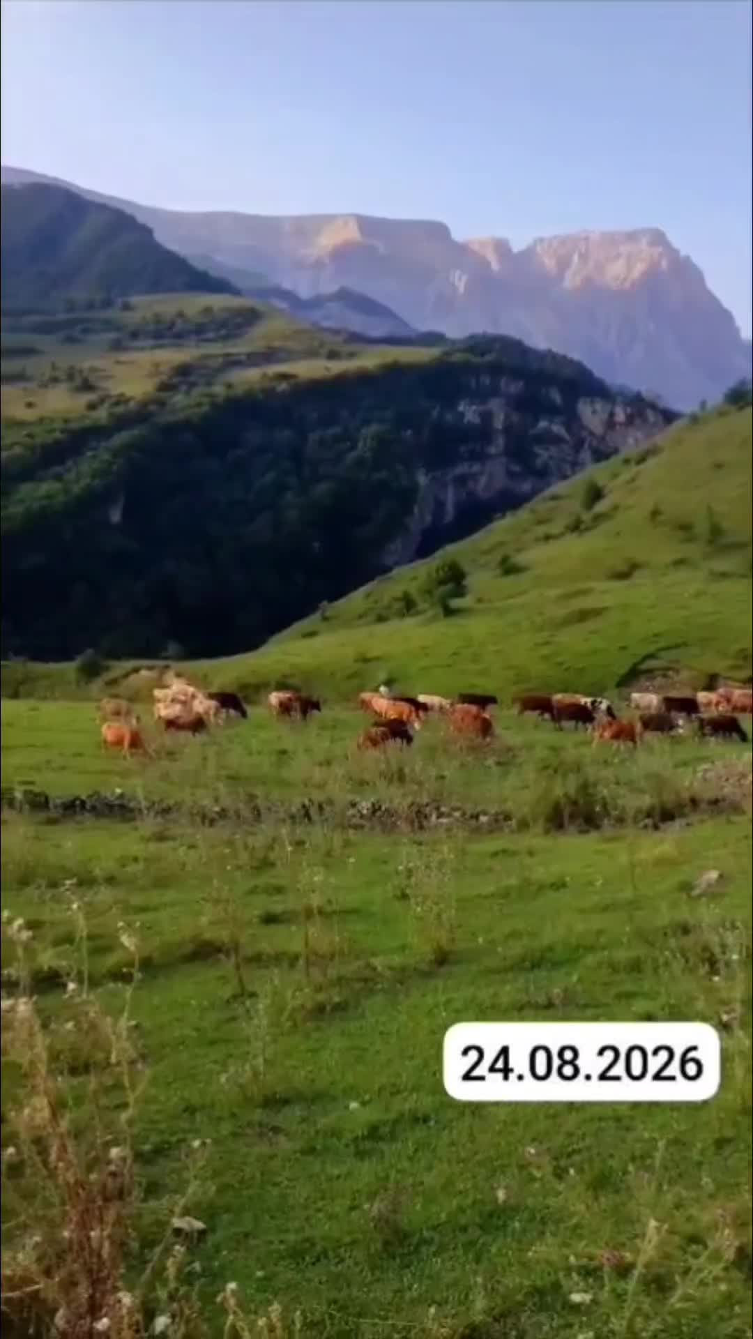 @Нагьид Талибрин